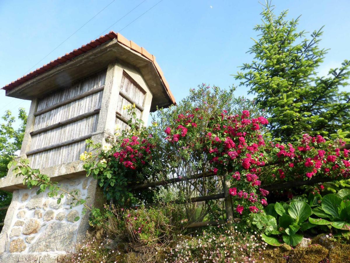 Willa Casa Da Eira Velha Vale de Cambra Zewnętrze zdjęcie